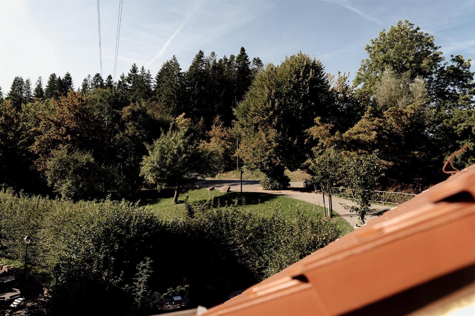 Hotel Dammuehle Marburg Екстер'єр фото
